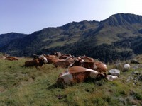 RIFUGIO_DORDONA_37.jpg