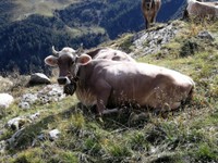 RIFUGIO_DORDONA_38.jpg