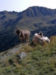 RIFUGIO_DORDONA_39.jpg