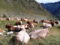 RIFUGIO_DORDONA_41.jpg