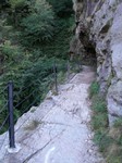 DIGA_GLENO_05.jpg