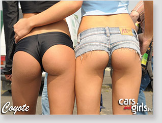 paddock-girl