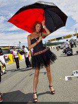 Paddock_gilrs-4_019.jpg