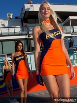 Paddock_gilrs-4_028.jpg