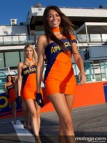 Paddock_gilrs-4_030.jpg