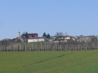 vigneti_piacentini_2009_03.JPG