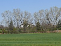 vigneti_piacentini_2009_06.JPG