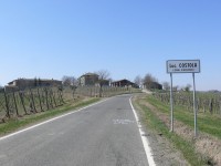 vigneti_piacentini_2009_09.JPG