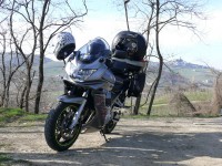 vigneti_piacentini_2009_45.JPG