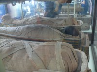 museo_egizio_03.JPG