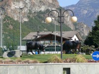 galibier_2011_03.JPG