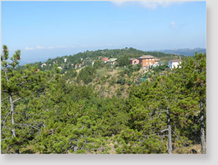 PASSO BRIC BERTON