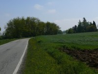 langhe_piemontesi_01.JPG