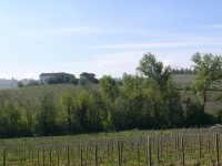 langhe_piemontesi_10.JPG