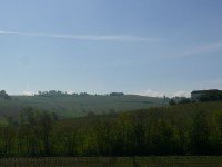 langhe_piemontesi_11.JPG