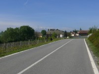 langhe_piemontesi_12.JPG