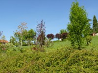langhe_piemontesi_13.JPG