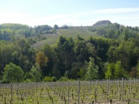 langhe_piemontesi_14.JPG