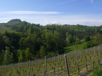langhe_piemontesi_15.JPG