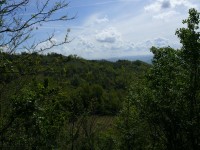 langhe_piemontesi_22.JPG