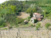 langhe_piemontesi_23.JPG