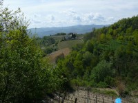 langhe_piemontesi_24.JPG