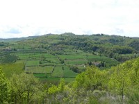 langhe_piemontesi_29.JPG