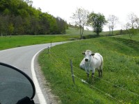 langhe_piemontesi_33.JPG