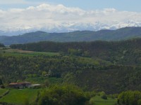 langhe_piemontesi_35.JPG