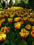 parco-sigurtà_008.JPG