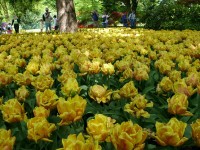 parco-sigurtà_013.JPG