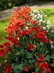 parco-sigurtà_019.JPG