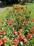 parco-sigurtà_021.JPG