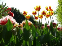 parco-sigurtà_037.JPG
