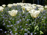 parco-sigurtà_039.JPG