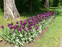 parco-sigurtà_041.JPG