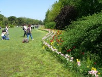 parco-sigurtà_042.JPG