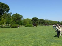 parco-sigurtà_043.JPG
