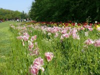 parco-sigurtà_045.JPG