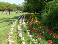 parco-sigurtà_051.JPG