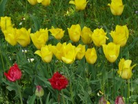 parco-sigurtà_054.JPG