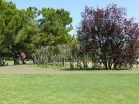 parco-sigurtà_055.JPG