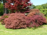 parco-sigurtà_056.JPG