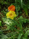 parco-sigurtà_071.JPG