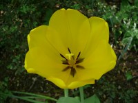 parco-sigurtà_072.JPG