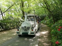 parco-sigurtà_077.JPG
