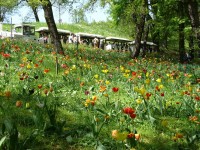 parco-sigurtà_078.JPG