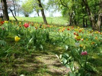 parco-sigurtà_079.JPG