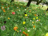 parco-sigurtà_081.JPG