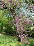 parco-sigurtà_083.JPG